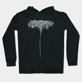 Queen Anne Lace Print Hoodie